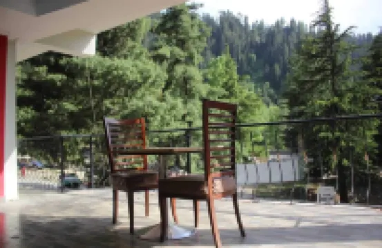 Snow Crest Lodges - Wifi