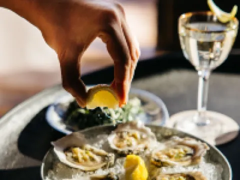 ザ・ホテル・シャレー・アット・ザ・チュチュ チャタヌーガのホテル