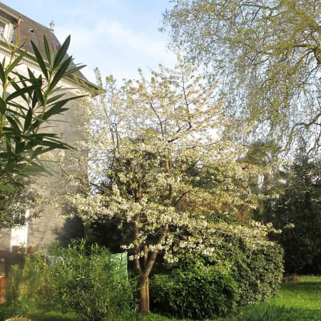 Villa Dampierre