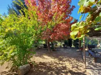 Holiday Home in Tuscany Near Lucca Hotel in zona Cascate dell’Acqua Pendente