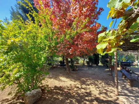 Holiday Home in Tuscany Near Lucca