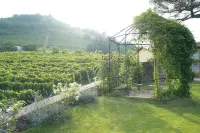 Luxury Langhe Pool Vigne Di Fagnano