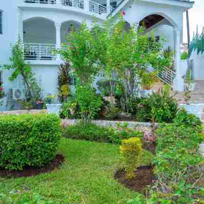 Awaii Jamaica Hotel Exterior