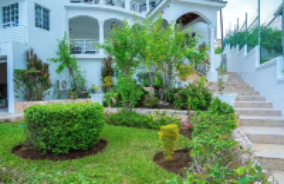 Awaii Jamaica Hotels in 