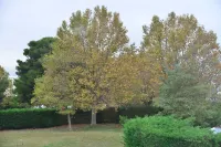 Aeroport Hotel - Parc Expo Hotels in Perols