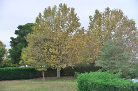 Aeroport Hotel - Parc Expo Отели в г. Могио