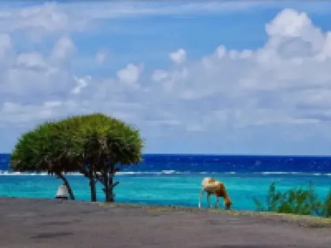 Entre Vallee Hotels in Rodrigues Island