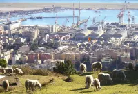 Casa MaMa Guesthouse Hotels in Pegli