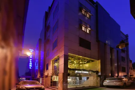 Hotel Blue Pearl - Free Airport Pick up Отели рядом с достопримечательностью «Фатехпур-Масджид»