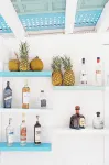 Coco Unlimited - Bar