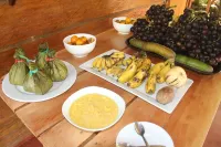 PuraChata ecolodge - Homestay