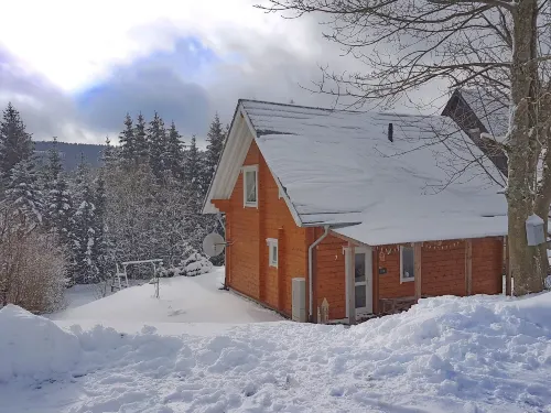 Forest Escape Near Ski Lift