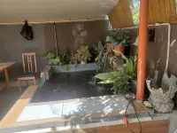 Serenity Oasis