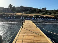 Merlot Assos