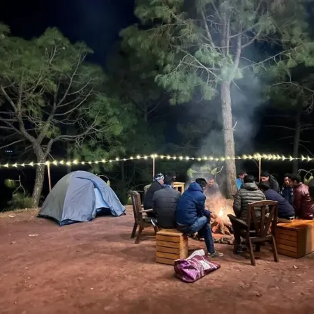 The Tribe Village