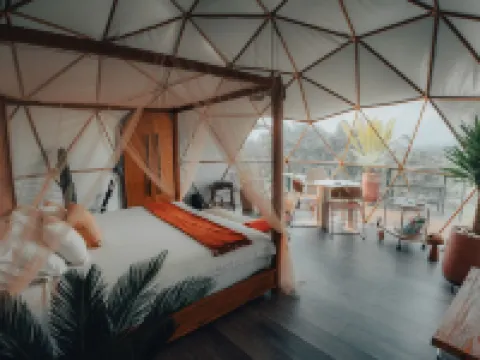 Bosko Hoteles en Guatapé