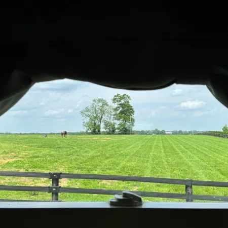 3 bedroom cottage on horse farm close to Kentucky Horse Park, Keeneland, the Ark