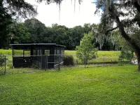 Floating dock/ Kayaks/ Paddle Board- Lots of Space