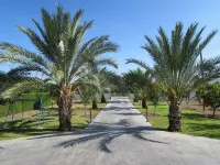 Luxury Villa With Swimming Pool, 3 Minutes From The Beach Ang Big Private Garden