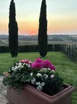 Montalcino Villa with Breathtaking Views of the Val d'Orcia