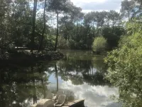 Farmhouse cabin with indoor pool and Jacuzzi