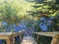 Cozy 3-bedroom cottage on the river in peaceful Free Soil!