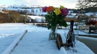 Romantic Stone Cottage with private woodfired hot tub, spa bathroom, yoga deck!