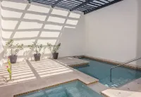 Huge Pacific Views w/Complete Privacy in Pedregal