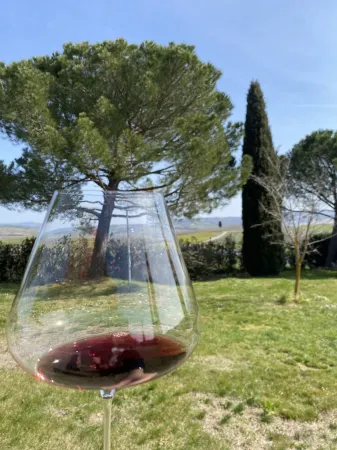 The Tuscan Cypress. Fast Internet and comfort in the heart of Chianti. Отели рядом с достопримечательностью «Villa Di Murlo»