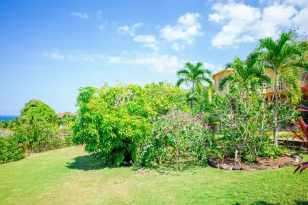 12 Guests Included in Price!  Includes: Ocean View, Pool & Other Amenities