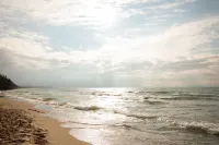 Beach days in Douglas MI