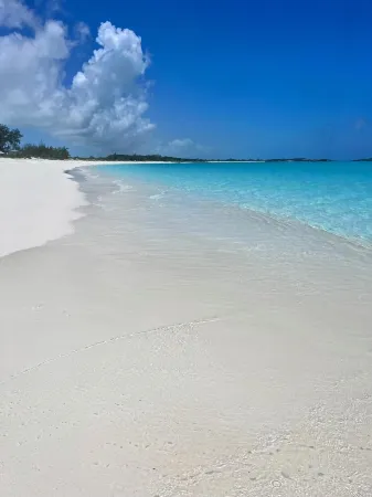 Ciesta Sands- Beachfront Luxury, Top Beach, 4 Bedrooms w Private Bath, Pool Отели в г. Moore Hill