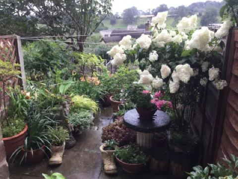 Quiet s/c cottage with garden 5 minutes walk to the centre of Uppingham Hotels in 