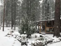 Cabin in The Pines.. Available 240v Tesla and EV charging. Hotels in Heber