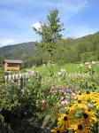 Hotel Schuster Hotels in Sterzing