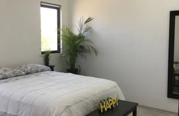 拉斯帕爾馬斯酒店