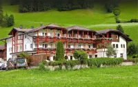 Hotel Stegerhaus - Mountain view