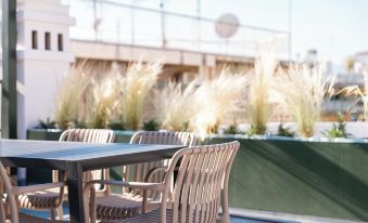 The Verve by Zoia Living