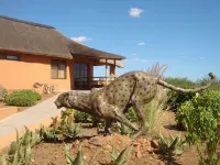 Babson House at Cheetah Conservation Fund - 4-Star