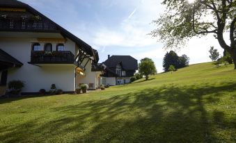 Hotel Zum Ochsen
