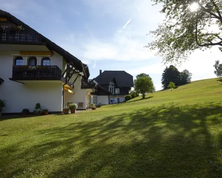 Hotel Zum Ochsen Hotels in Schonwald