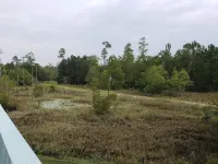Raised 3 bed 2 bath house with canal access to Wolf River