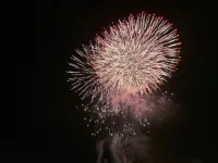 Bonnefemme