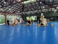 Jungles Edge Hotel, Jiu Jitsu, Muay Thai Retreat Center - Gym