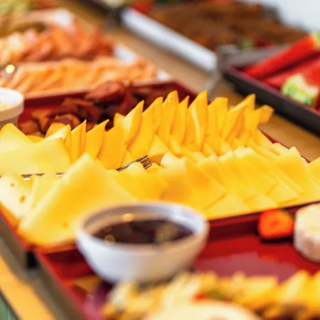 Desilva Inn Opole