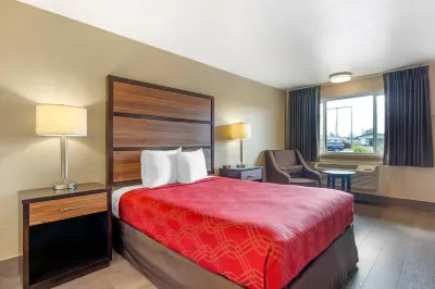 Rodeway Inn Hotels in Albany