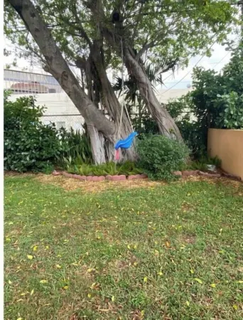 Minimalistic Charm & Comfort in the Heart of Miami Отели рядом с достопримечательностью «Frost School Of Music»