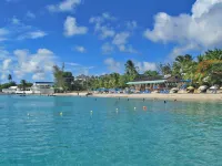 Palm Grove by Bluescape