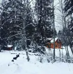 Briarwood House on Mt. Hood- Peace and Serenity- Bike/hike/board/ski