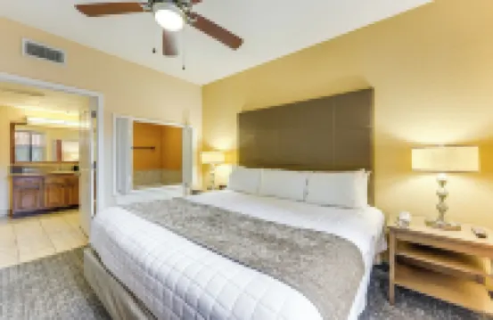 泳池畔的幸福與主題公園的刺激：奧蘭多綠洲